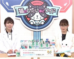 tvk猫のひたいほどワイド　2月のテーマは、「増えゆく大人むし歯！大人むし歯の原因とフッ素ケアについて」です！